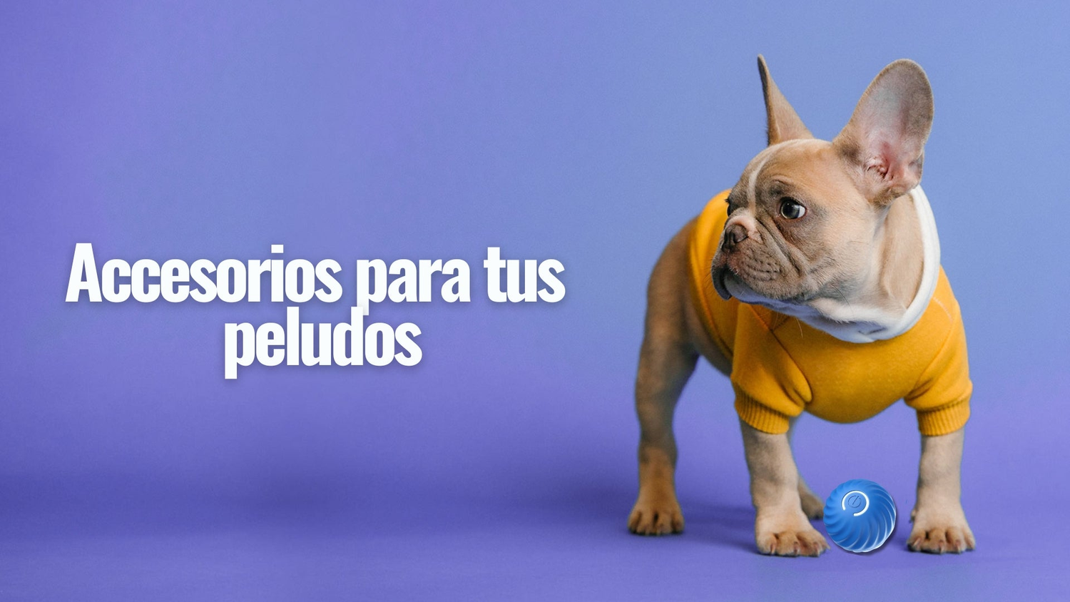 productos para tus peludos
