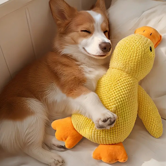 Pato de peluche para perros