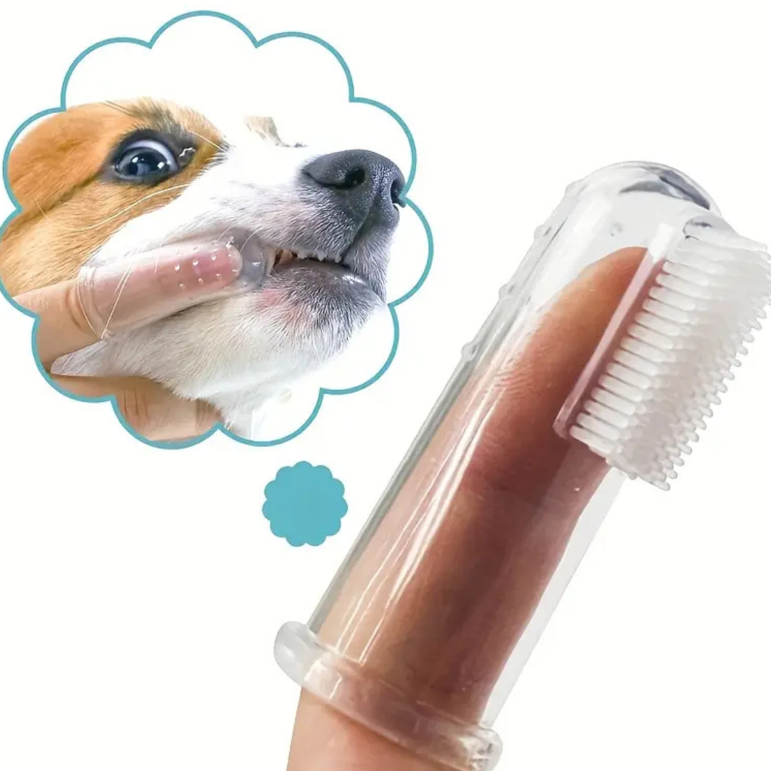 Cepillo dental para mascotas