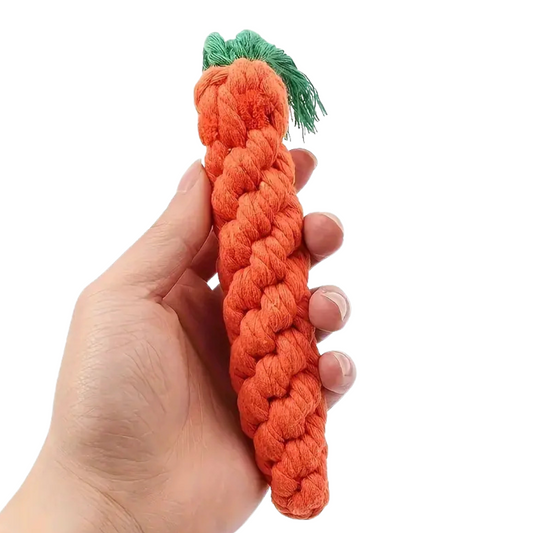 Zanahoria masticable para perros