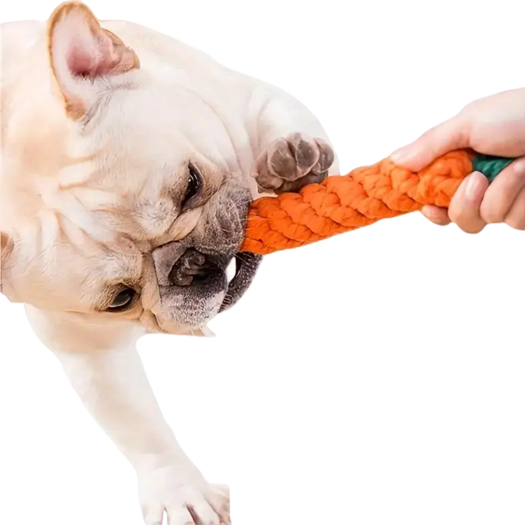 Zanahoria masticable para perros