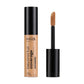 Beyond Full Coverage Concealer